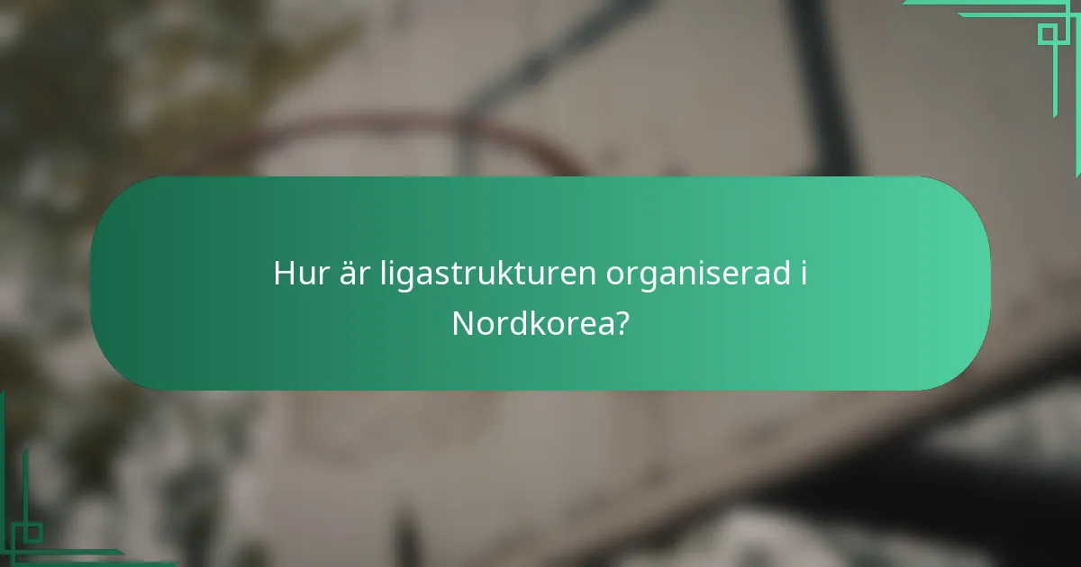 Hur är ligastrukturen organiserad i Nordkorea?