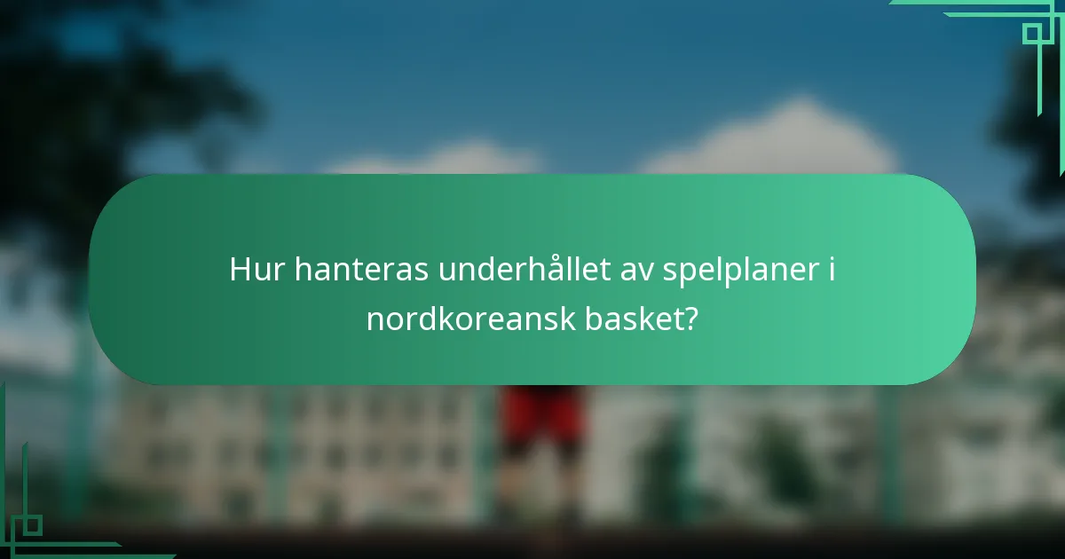Hur hanteras underhållet av spelplaner i nordkoreansk basket?